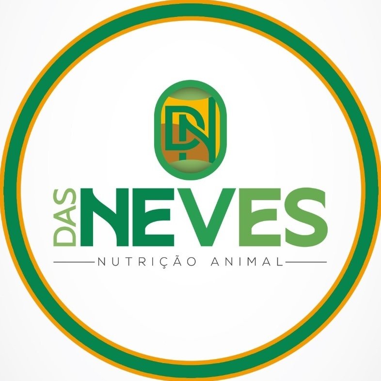 Torta das Neves